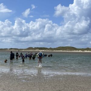 Der Priel vor der Amrum er Nordspitze