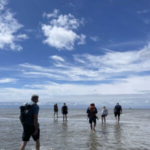 Wattwanderung von Föhr nach Amrum