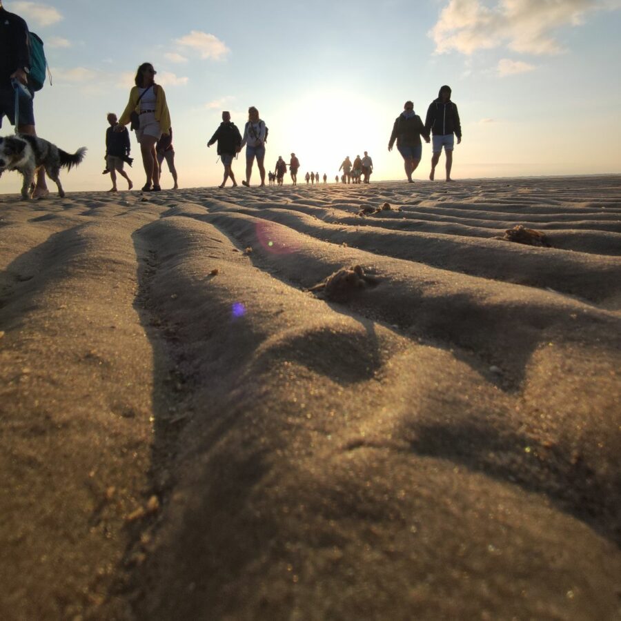 Termine Inselwatt Amrum