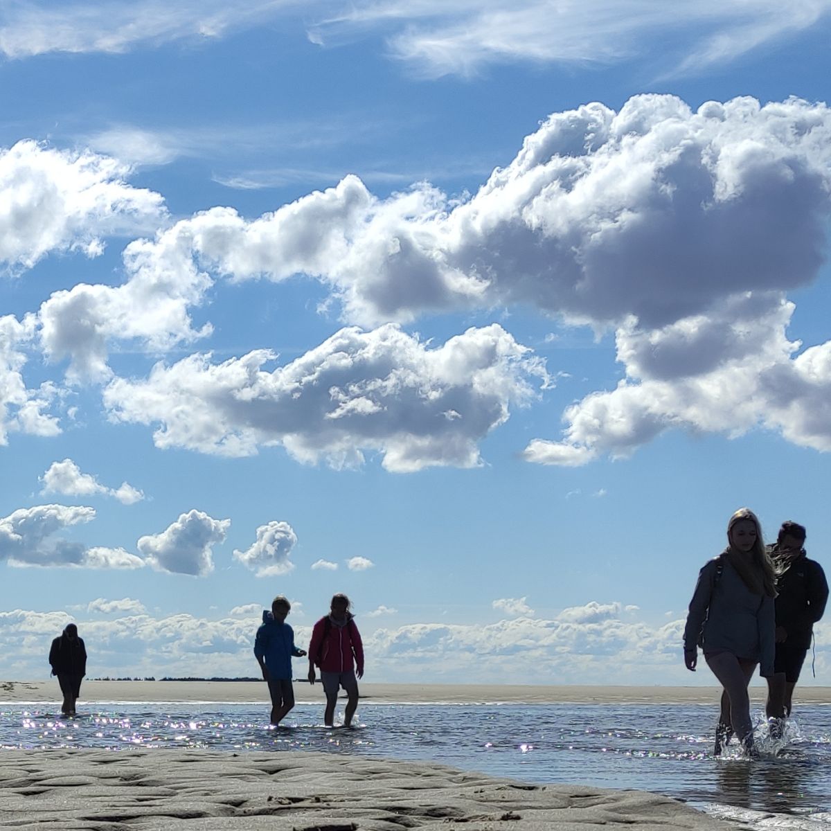 Wattwanderung von Amrum nach Föhr