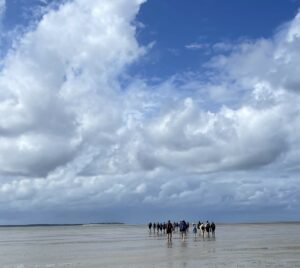 Wattwanderung von Amrum nach Föhr
