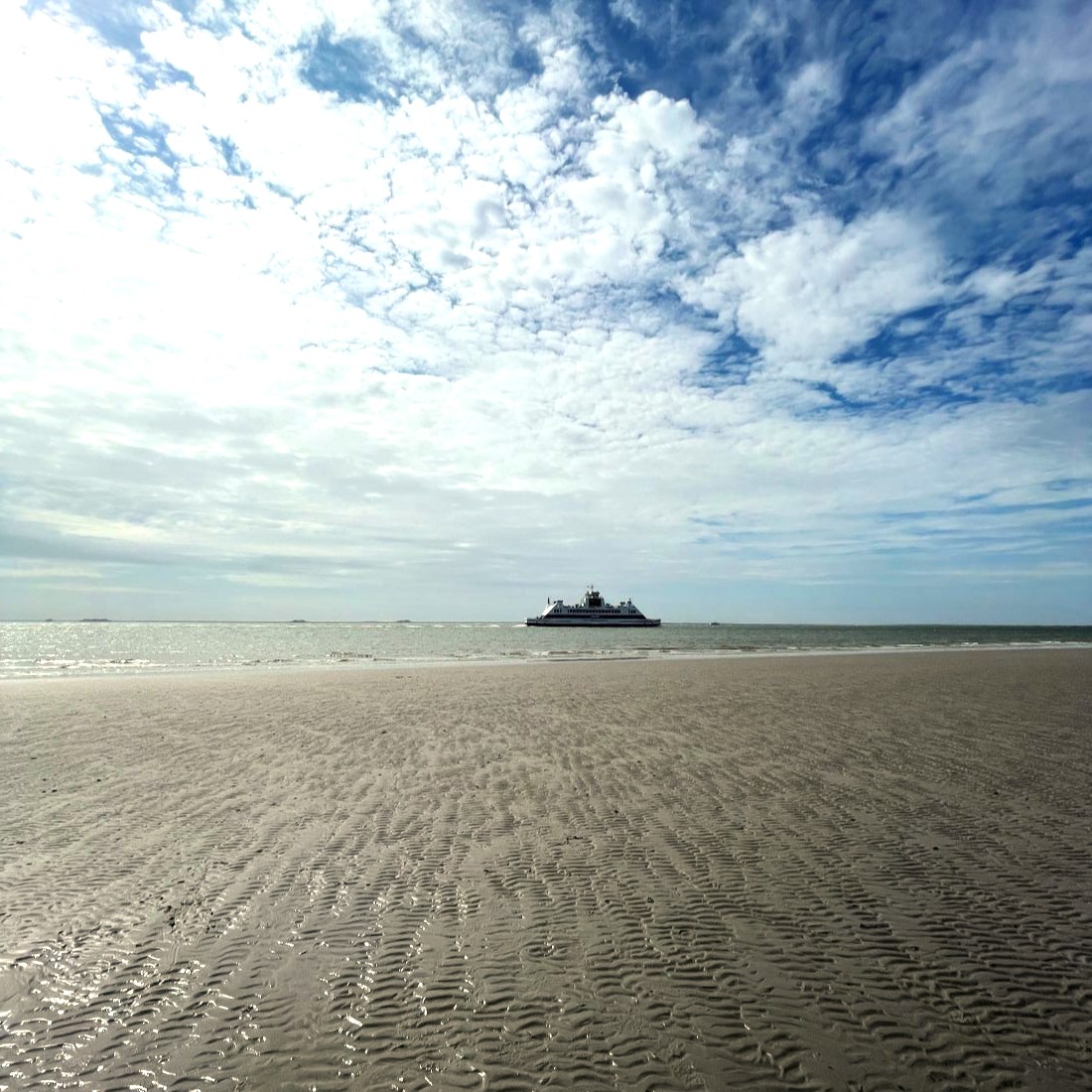 Geführte Wattwanderung Wyk Südstrand