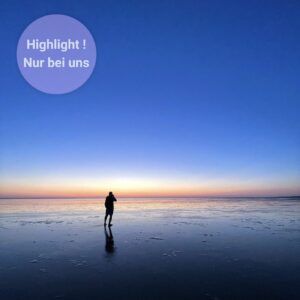 Wattführung im Sonnenaufgang mit Inselwatt