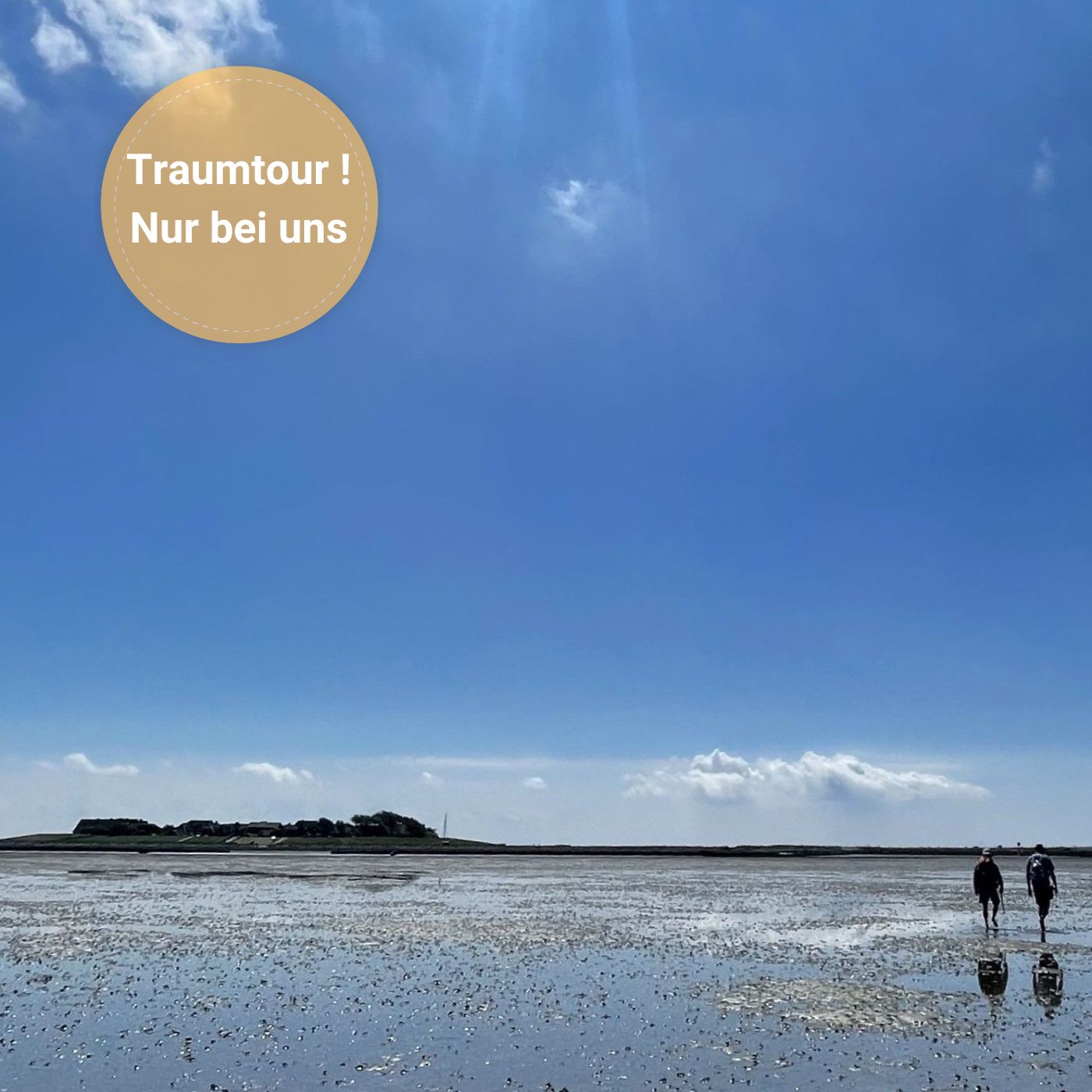 Wattführung mit Nationalpark Wattführer Matthias Hansen zu den Halligen