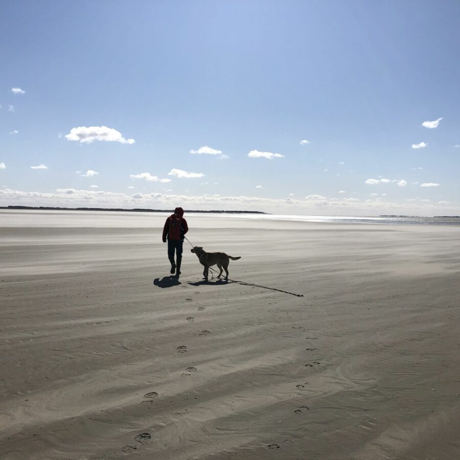 Wattführer Matthias Hansen mit Hund