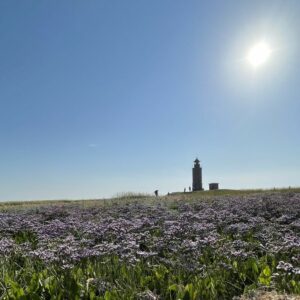 Leuchtturm auf der Hallig Langeneß auf der Wattführung Halligen.