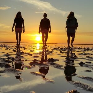 Wattwanderung mit Nationalpark-Wattführer Matthias Hansen im Sonnenuntergang