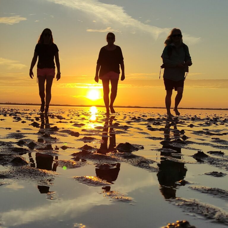 Sonnenuntergang Wattführung Föhr