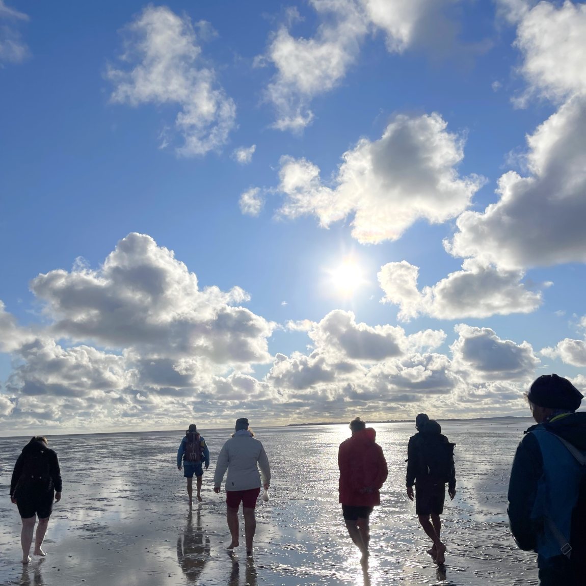 Wattwanderung mit Nationalpark-Wattführer Matthias Hansen von Föhr nach Amrum
