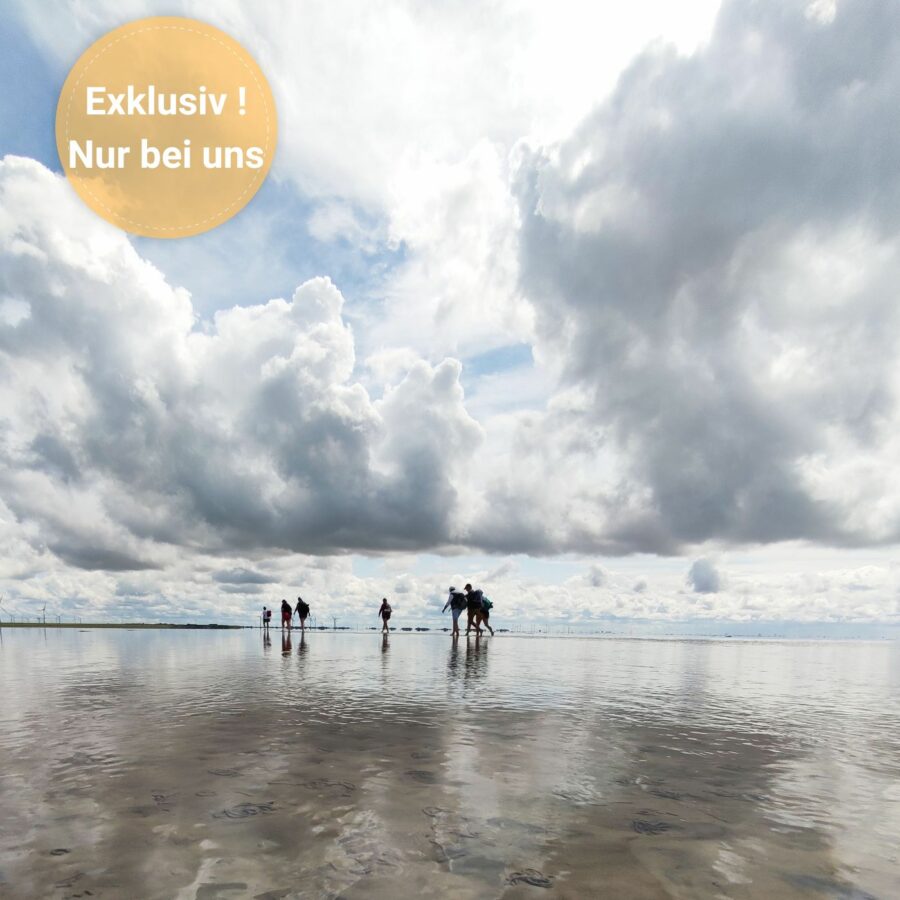 Wattwanderung von Föhr zum Festland