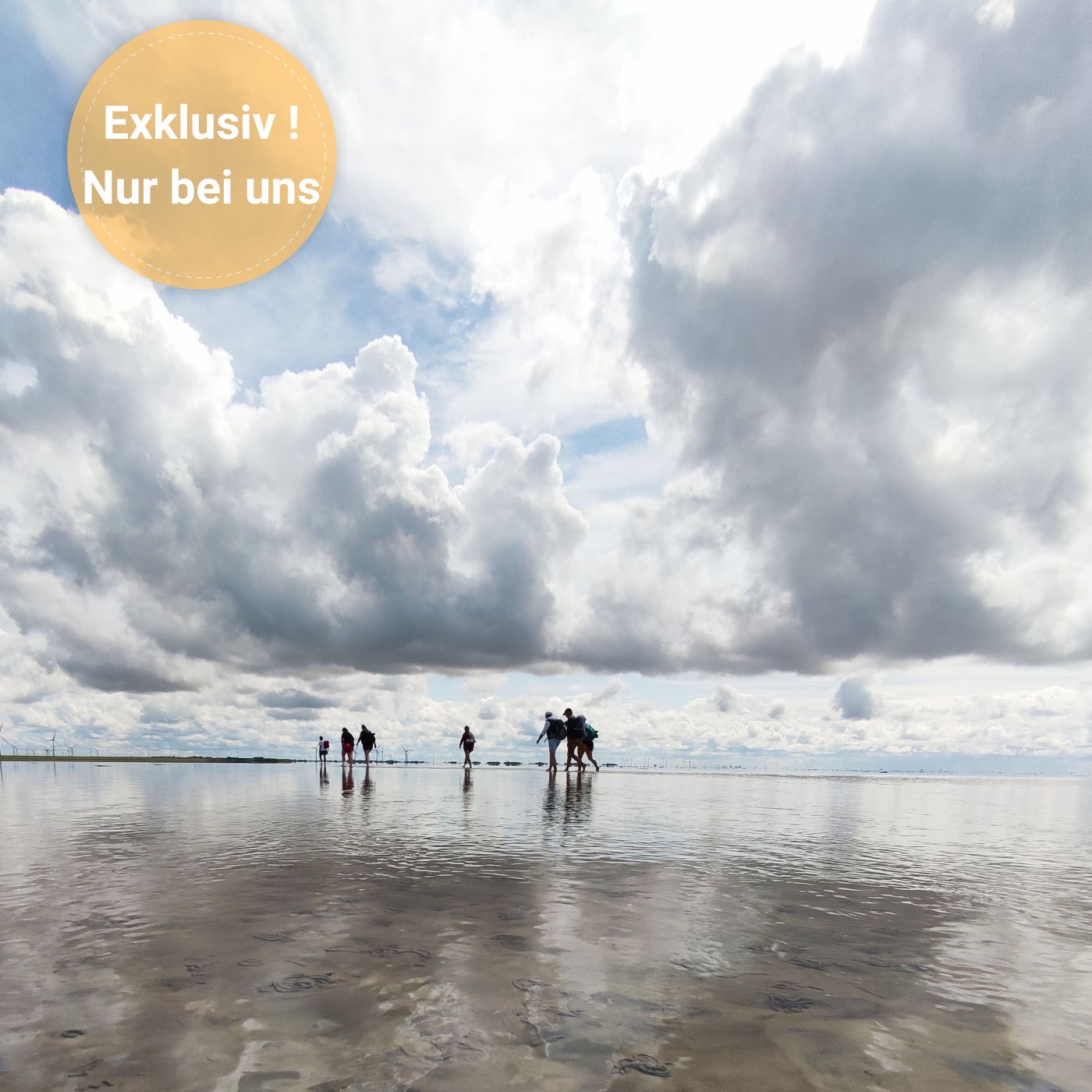 Wattwanderung von Föhr zum Festland