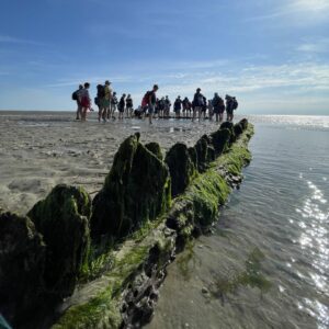 Das Wrack auf dem Wattwanderweg von Inselwatt zwischen Föhr und Amrum.