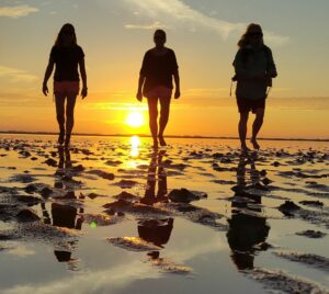 Sonnenuntergang Wattwanderung Föhr mit Inselwatt