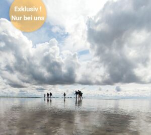 Wattwanderung von Föhr zum Festland