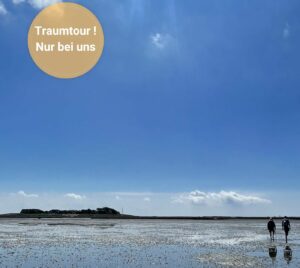 Wattführung mit Nationalpark Wattführer Matthias Hansen zu den Halligen